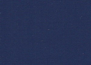 Bright Blue Plain
